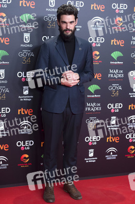 Nominiertenparty zur 34. Goya Filmpreis Verleihung in Madrid