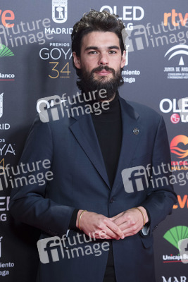 Nominiertenparty zur 34. Goya Filmpreis Verleihung in Madrid