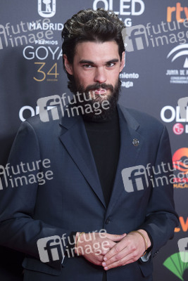 Nominiertenparty zur 34. Goya Filmpreis Verleihung in Madrid