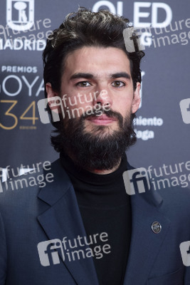 Nominiertenparty zur 34. Goya Filmpreis Verleihung in Madrid