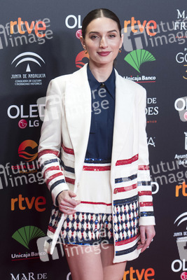 Nominiertenparty zur 34. Goya Filmpreis Verleihung in Madrid