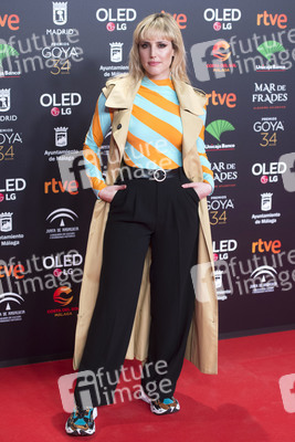 Nominiertenparty zur 34. Goya Filmpreis Verleihung in Madrid