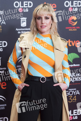 Nominiertenparty zur 34. Goya Filmpreis Verleihung in Madrid