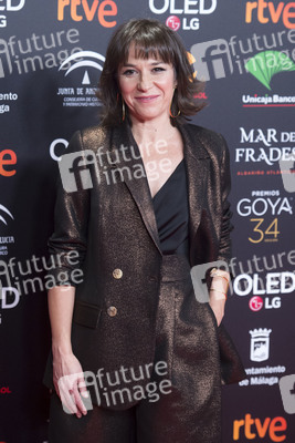 Nominiertenparty zur 34. Goya Filmpreis Verleihung in Madrid