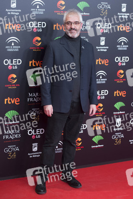 Nominiertenparty zur 34. Goya Filmpreis Verleihung in Madrid