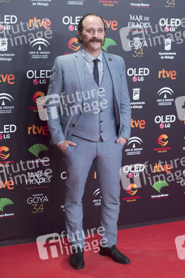 Nominiertenparty zur 34. Goya Filmpreis Verleihung in Madrid