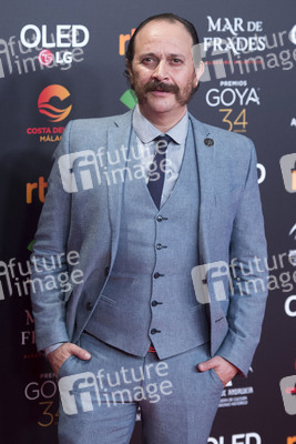 Nominiertenparty zur 34. Goya Filmpreis Verleihung in Madrid