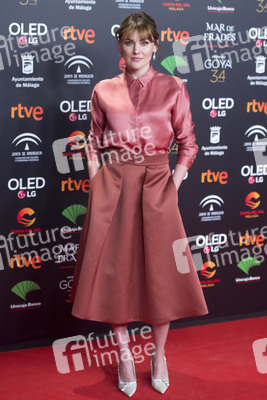 Nominiertenparty zur 34. Goya Filmpreis Verleihung in Madrid