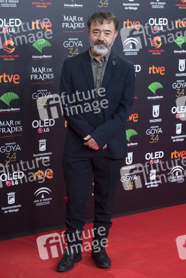 Nominiertenparty zur 34. Goya Filmpreis Verleihung in Madrid