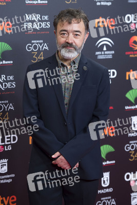 Nominiertenparty zur 34. Goya Filmpreis Verleihung in Madrid