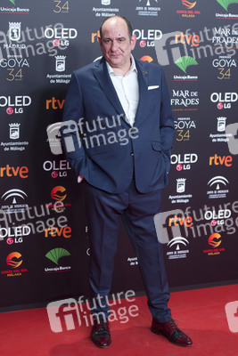 Nominiertenparty zur 34. Goya Filmpreis Verleihung in Madrid