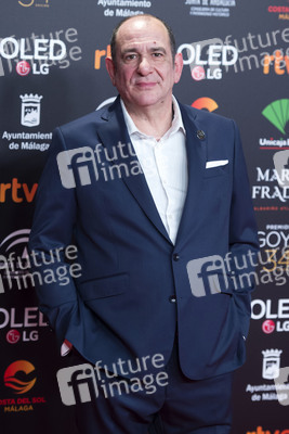 Nominiertenparty zur 34. Goya Filmpreis Verleihung in Madrid