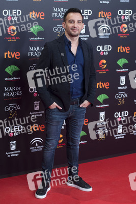 Nominiertenparty zur 34. Goya Filmpreis Verleihung in Madrid