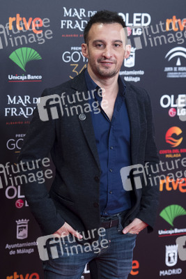 Nominiertenparty zur 34. Goya Filmpreis Verleihung in Madrid