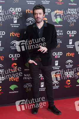 Nominiertenparty zur 34. Goya Filmpreis Verleihung in Madrid