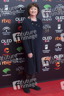 Nominiertenparty zur 34. Goya Filmpreis Verleihung in Madrid