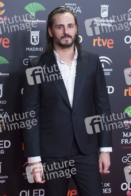 Nominiertenparty zur 34. Goya Filmpreis Verleihung in Madrid