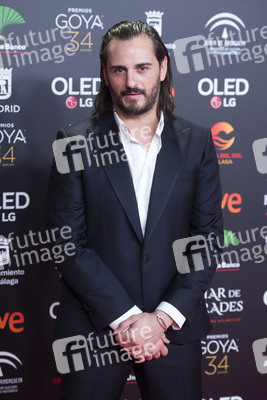 Nominiertenparty zur 34. Goya Filmpreis Verleihung in Madrid