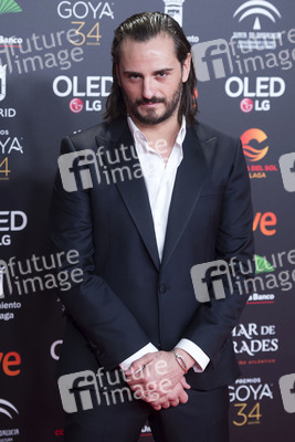 Nominiertenparty zur 34. Goya Filmpreis Verleihung in Madrid