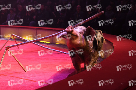 Premiere 1. Winterprogramm 2019 Circus Krone in München