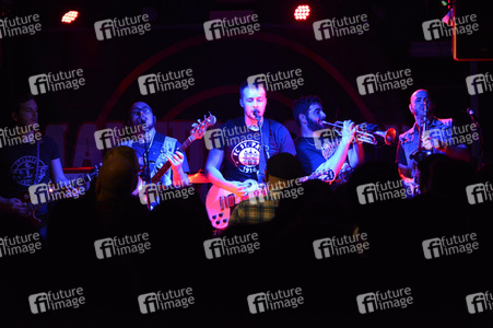 Konzert von Maleducazione Alcolica in Hannover