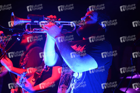 Konzert von Maleducazione Alcolica in Hannover