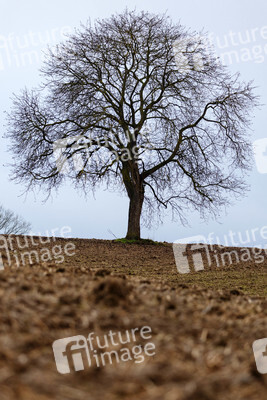 Symbolfoto Ackerland