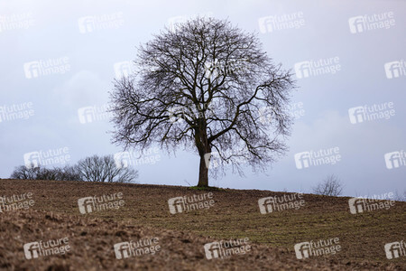 Symbolfoto Ackerland