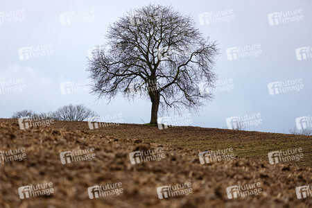 Symbolfoto Ackerland