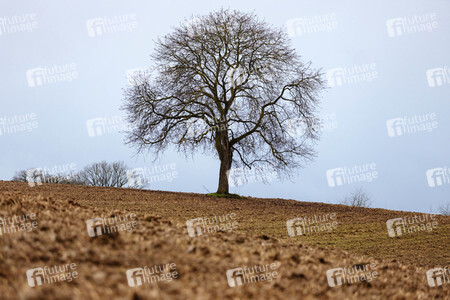 Symbolfoto Ackerland