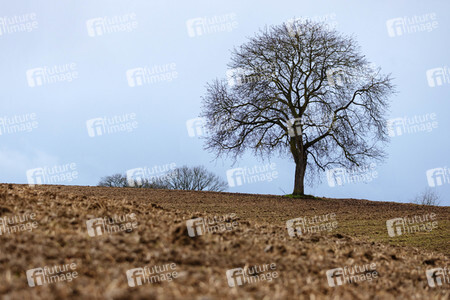 Symbolfoto Ackerland