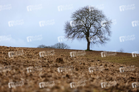 Symbolfoto Ackerland