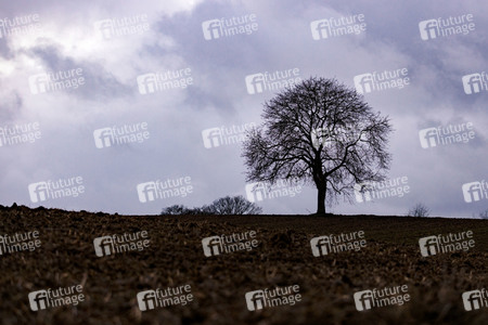 Symbolfoto Ackerland