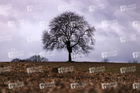 Symbolfoto Ackerland