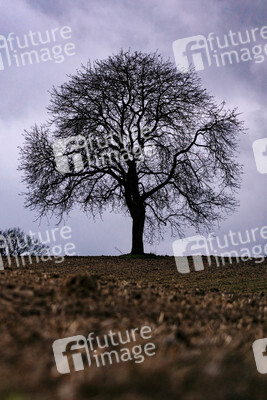 Symbolfoto Ackerland