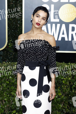 Golden Globe Awards 2020 in Beverly Hills