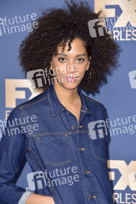 FX Network Winter TCA 2020 Pressetour in Pasadena