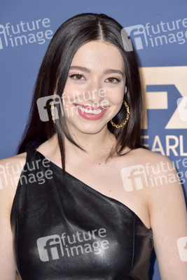 FX Network Winter TCA 2020 Pressetour in Pasadena