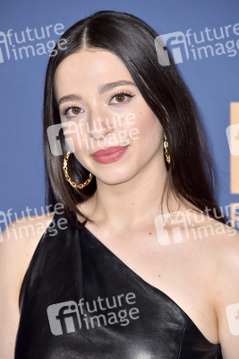 FX Network Winter TCA 2020 Pressetour in Pasadena