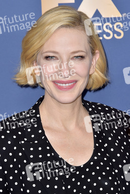 FX Network Winter TCA 2020 Pressetour in Pasadena