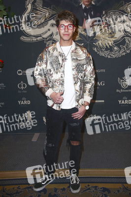 5. Public Viewing von 'Ich bin ein Star - Holt mich hier raus!' in Berlin