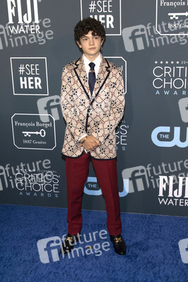 Critics' Choice Awards 2020 in Santa Monica