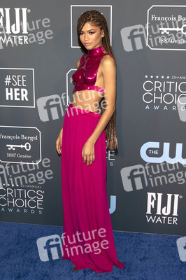 Critics' Choice Awards 2020 in Santa Monica