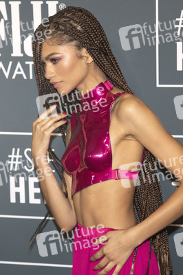 Critics' Choice Awards 2020 in Santa Monica