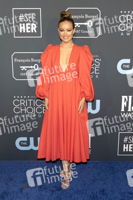 Critics' Choice Awards 2020 in Santa Monica
