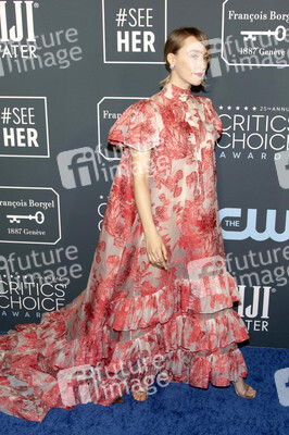 Critics' Choice Awards 2020 in Santa Monica