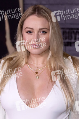 Filmpremiere 'Bad Boys for Life' in Los Angeles