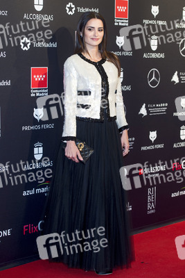 Feroz Awards 2020 in Alcobendas