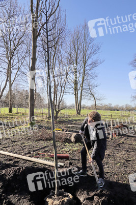 Atze Schröder pflanzt einen Baum in Hamburg