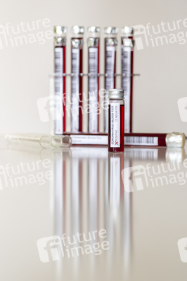 Symbolfoto Coronavirus